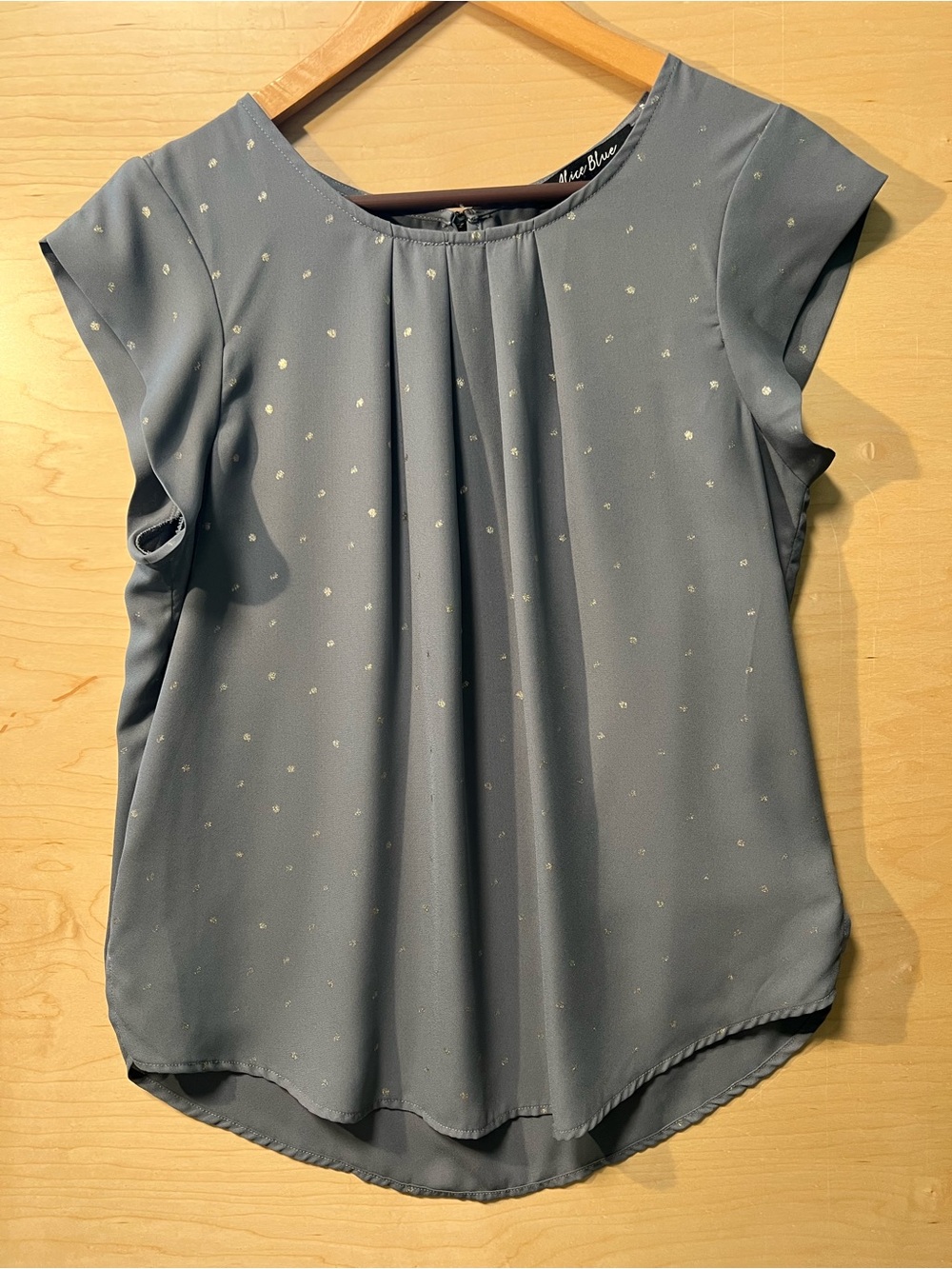 Alice Blue Steel-Gray Dot Pleat Cap-Sleeve Blouse